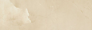 Passion R90 Champagne 30x90