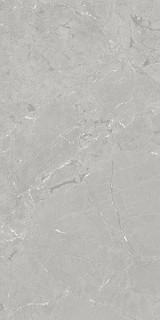 Azuvi Neeko Grey 60x120