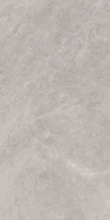 Baldocer Bayona Silver Pulido Rect 120x240H0.7
