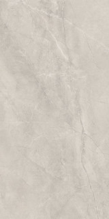 Baldocer Bayona Silver Pulido Rect 60x120