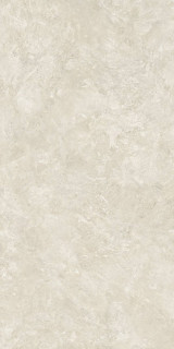 Baldocer Canyon Bone Matt Rect 120x260H0.6
