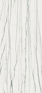 Benadresa Daren Pulido Rect. Blanc 60x120