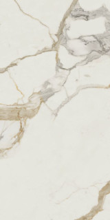 Benadresa Medici Gold Pulido 60x120H0.9