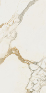 Benadresa Medici Gold Natural 60x120H0.9