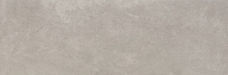 Benadresa Reine Grey 30х90