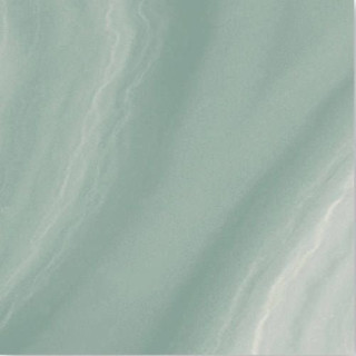 Ceracasa Absolute Jangle Pulido Rect 49,1x49,1
