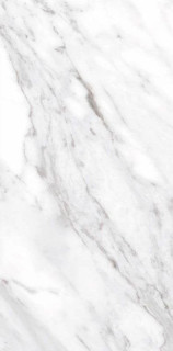 Ceracasa Nuit North White Gloss 49,1х98,2