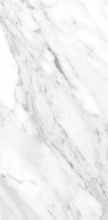 Ceracasa North White Gloss 49,1х98,2