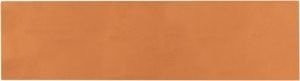 Cevica Natural Cotto 9,2x36,8