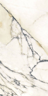 Cifre Ceramica Paonazzo 60x120