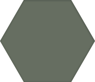 Codicer Basic Moss Hex 25 Hexagonal 25x22