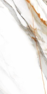 Colorker Calacatta Gold White 60x120