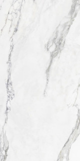 Colorker Insignia White Pulido 60x120