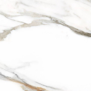 Colorker Calacatta Gold White 59,5x59,5