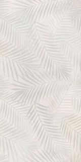 Colorker Bella Stone Bone Decor 59.5x119.2