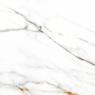 Colorker Calacatta Gold White 120x120