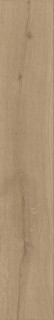 Colorker Century Honey Rect Matt 25x150