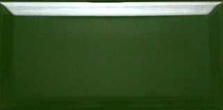 DAR Ceramics Biselado Botella Brillo 10x20