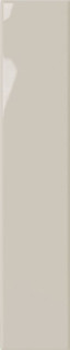 DNA Plinto Greige Gloss 10.7x54.2