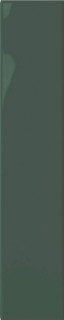 DNA Plinto Green Gloss 10.7x54.2