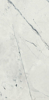 Dune Light Calacatta Satin 60x120