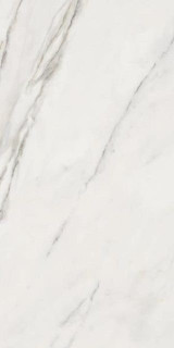 Dune Calacatta Superwhite Rec 60x120