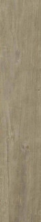 Dune Quercus Antico Matt Rect 22x120H0.7