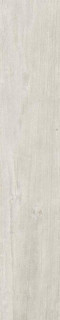 Dune Quercus Betulla Matt Rect 22x120H0.7
