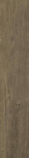 Dune Quercus Noce Matt Rect 22x120H0.7