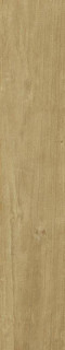 Dune Quercus Miele Matt Rect 22x120H0.7