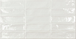 Ecoceramic Pool White 31.6x60