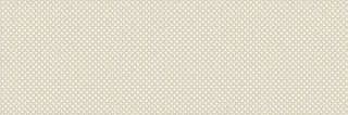 Emigres Lucca Beige 25х75
