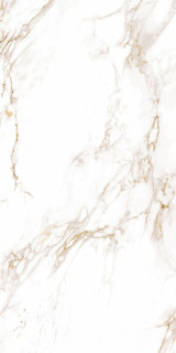Emotion Snow Gold Pulido Rect 60x120