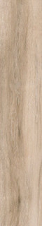 Emotion Pecan Beige 23,3x120