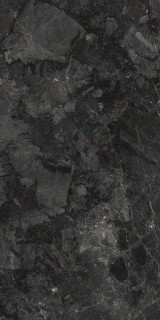 Emigres Viena Negro Polished 60x120