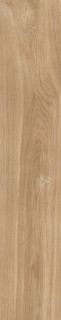 Emotion Hardy Miel 23,3x120