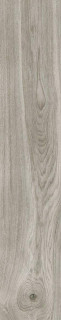 Emotion Hardy Gris 23,3x120