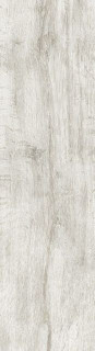 Emotion Wild Blanco Porc. 24x88