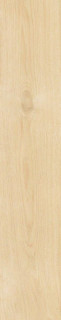 Emotion Hardy Haya 23,3x120