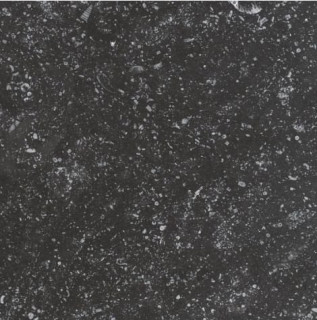 Equipe Coralstone Black 20х20