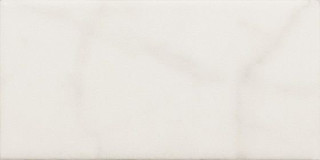 Equipe Carrara Inmetro Mate 23082 7.5x15
