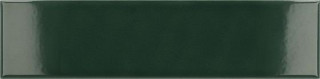 Equipe Costa Nova Laurel Green Glossy 5x20