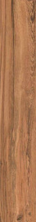 Exagres Lizana Base Cerezo C1/R9 20x120