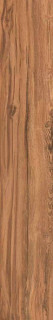 Exagres Lizana Base Cerezo C1/R9 25x150