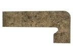 Exagres Zan. Metalica Purple Derecha 39,5х17,5