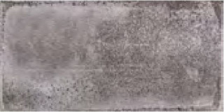 Fabresa Vita Grafite 10х20