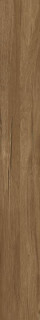 Fanal Ceylan Roble Mate 15x118 (Rect)