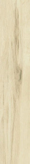 Fanal Ceylan Teka Pulido 22x118 (Rect)