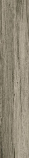 Fanal Ceylan Gris Pulido 22x118 (Rect)