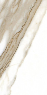 Fanal Pulido NPlus Calacatta 60x120